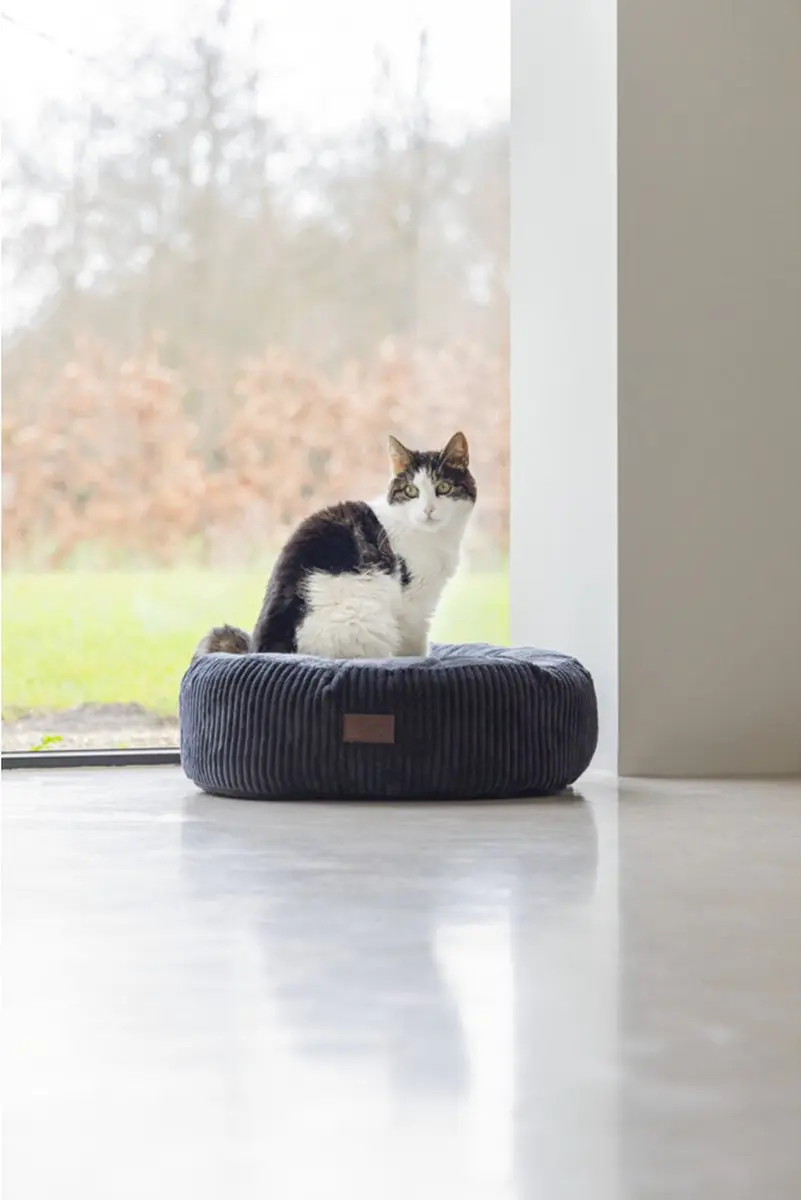Designed by Lotte Ligmand Ribbed Kattenmand 50x50x17cm - Antraciet
