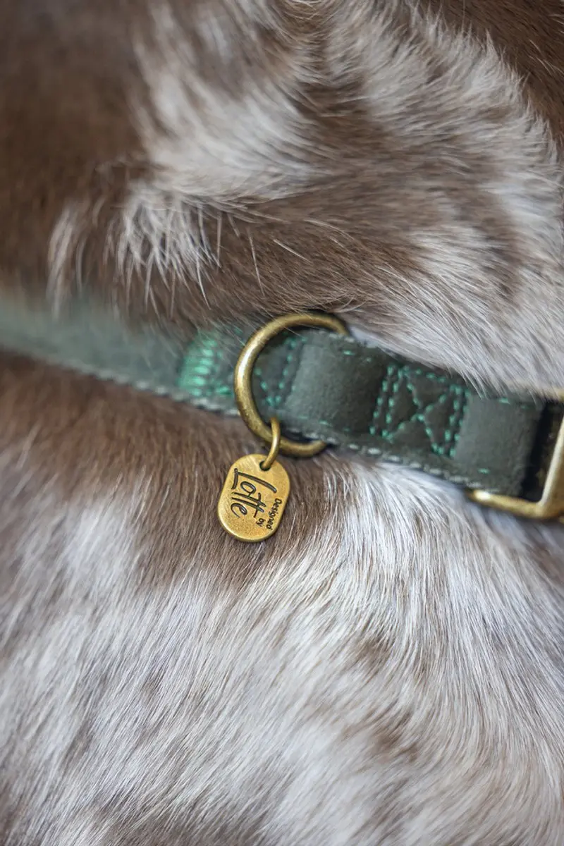 Designed by Lotte Velura Hondenhalsband - Groen - 35-50cm