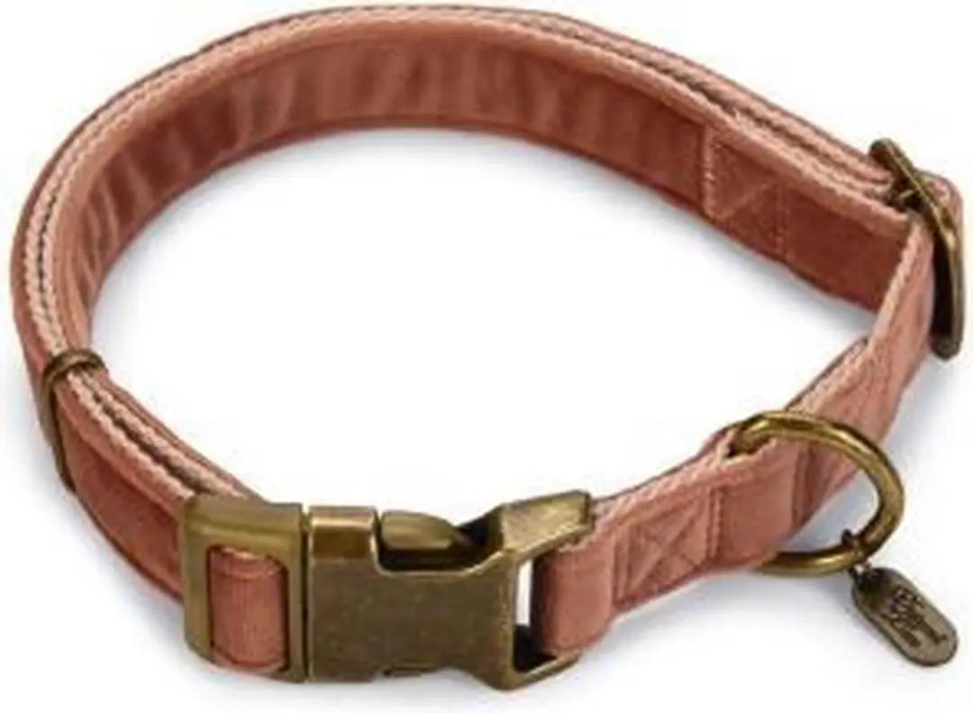 Designed by Lotte Kattenhalsband Velura