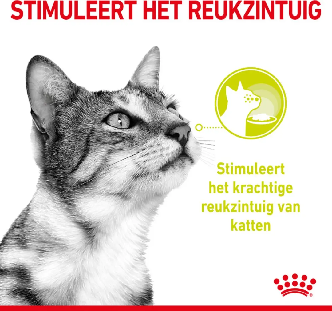 Royal Canin Sensory Smell In Gravy Natvoer - 48x85g