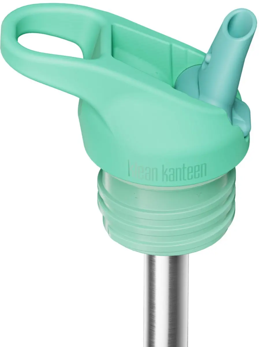 Klean Kanteen Rise Classic Insulated 473ml - Kaleidoscope Limited Parakeet Kaleidoscope- Special Edition Drinkfles