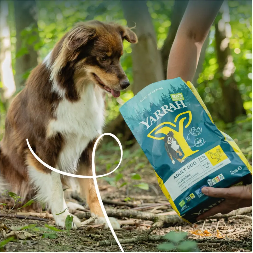Yarrah Biologisch Adult Kip Hondenvoer 2kg