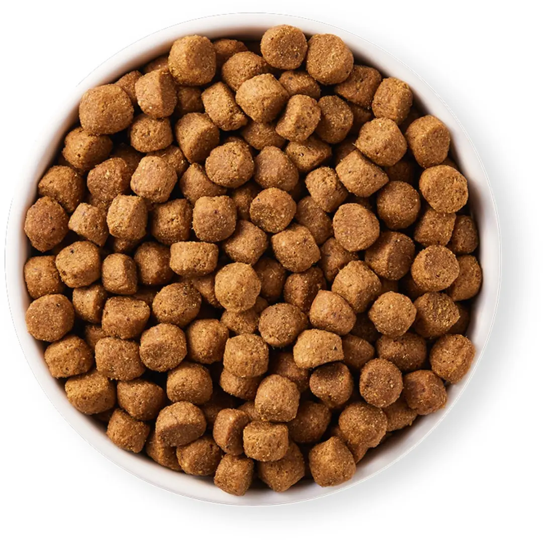 Yarrah Biologisch Adult Kip Hondenvoer 2kg