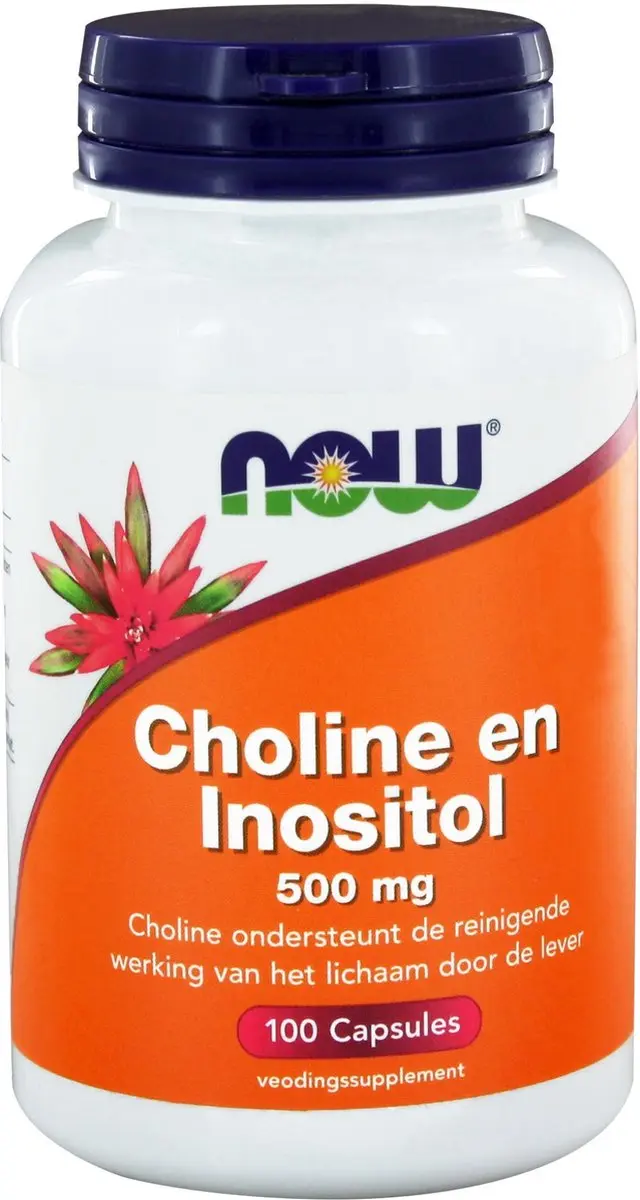 Now Foods Choline & Inositol 250mg