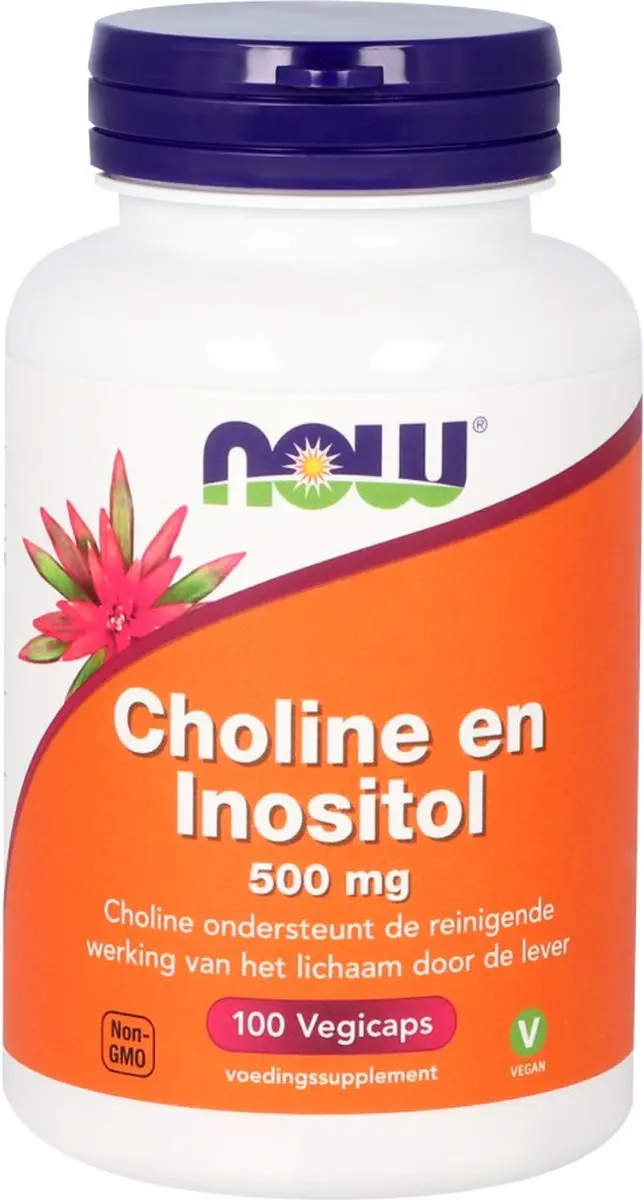 Now Foods Choline & Inositol 250mg - 100 Capsules