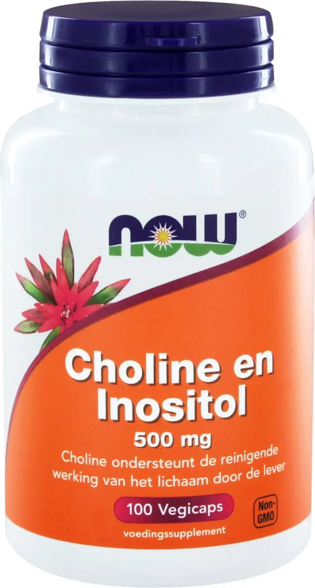 Now Foods Choline & Inositol 250mg - 100 Capsules