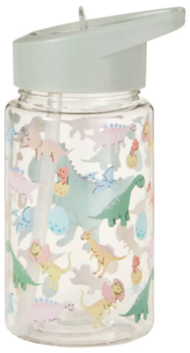 Home & Styling Drinkfles Dino's