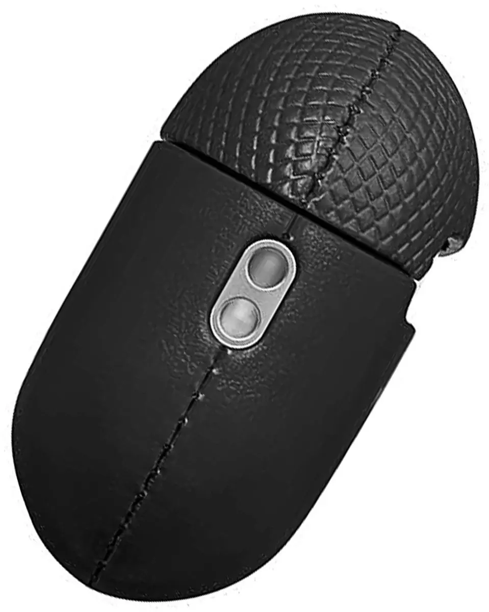 Native Union AirPods Pro Hoesje NU-APPRO2-LTHR-BLK - Zwart