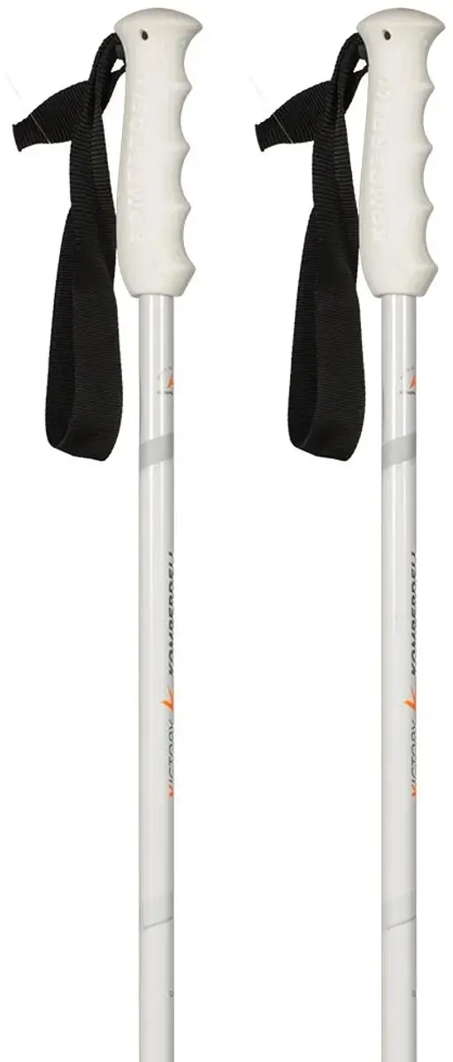 Merkloze Aluminium Ski Stoks 120cm