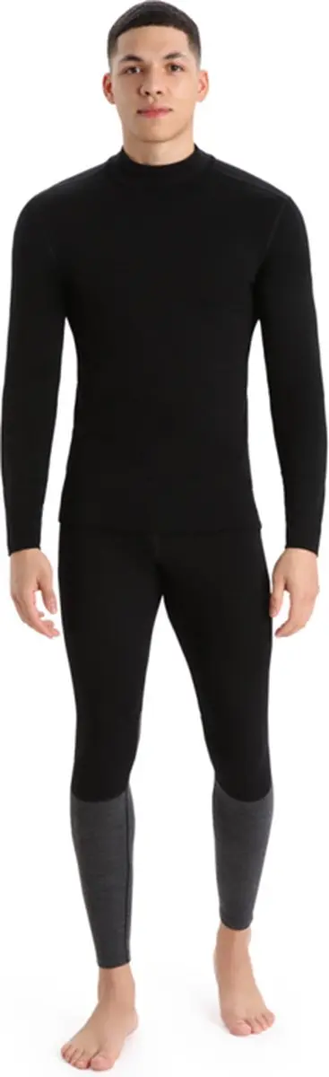 Icebreaker 260 Tech LS Turtleneck Heren - Thermoshirt L - Meerkleurig