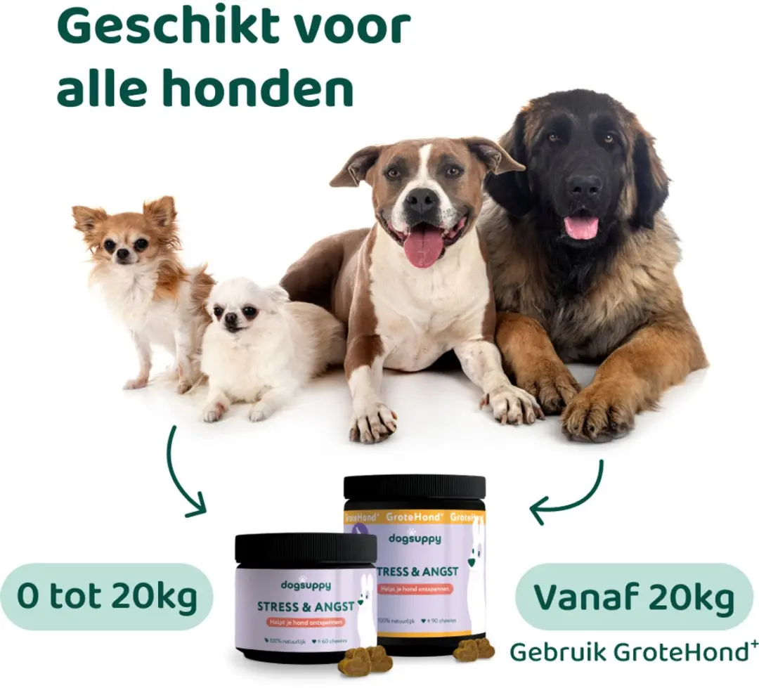 Stress & Angst Supplement Honden 60 Stuks - Met Hennepzaadolie & L-Tryptofaan - afbeelding 6 van 6