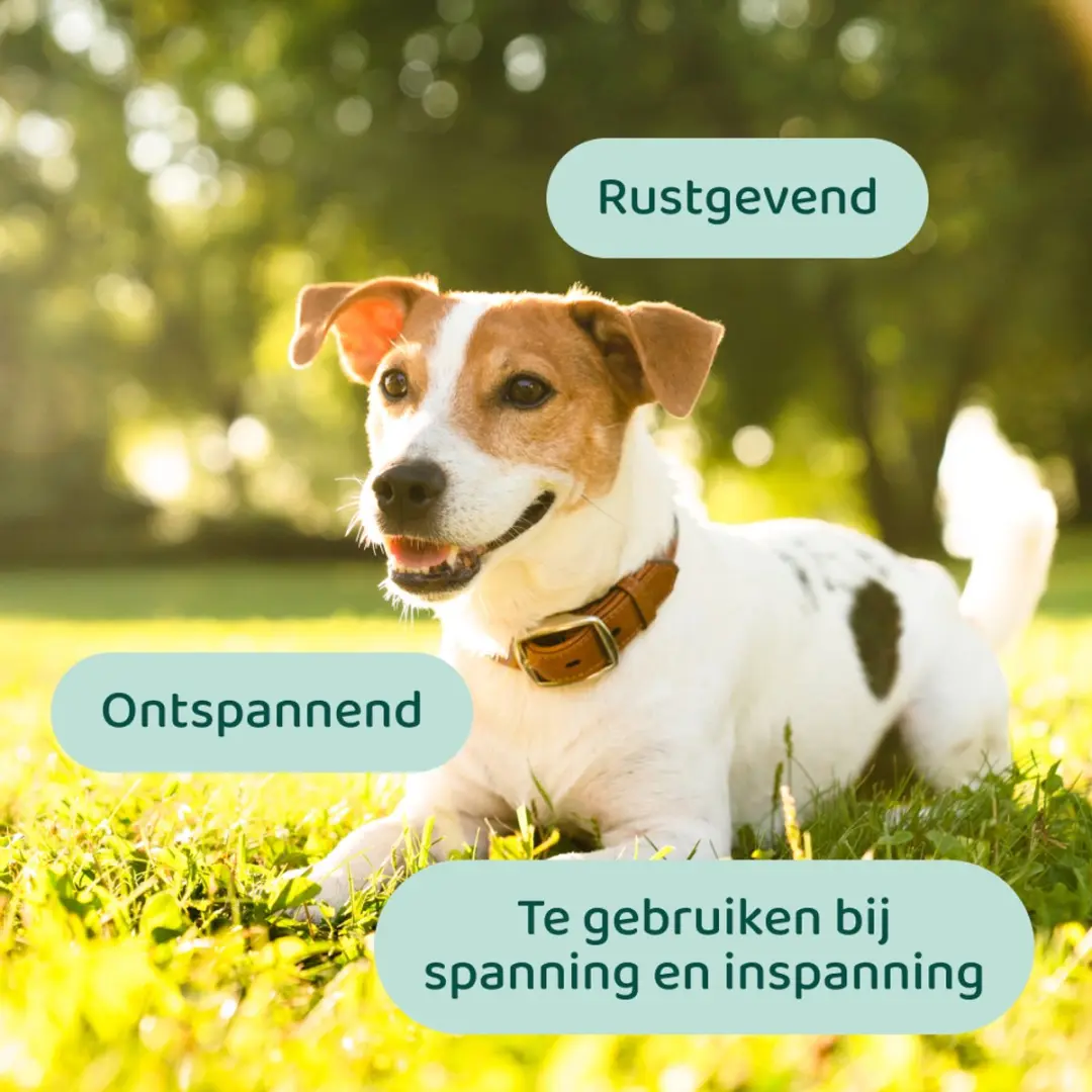 Stress & Angst Supplement Honden 60 Stuks - Met Hennepzaadolie & L-Tryptofaan - afbeelding 3 van 6