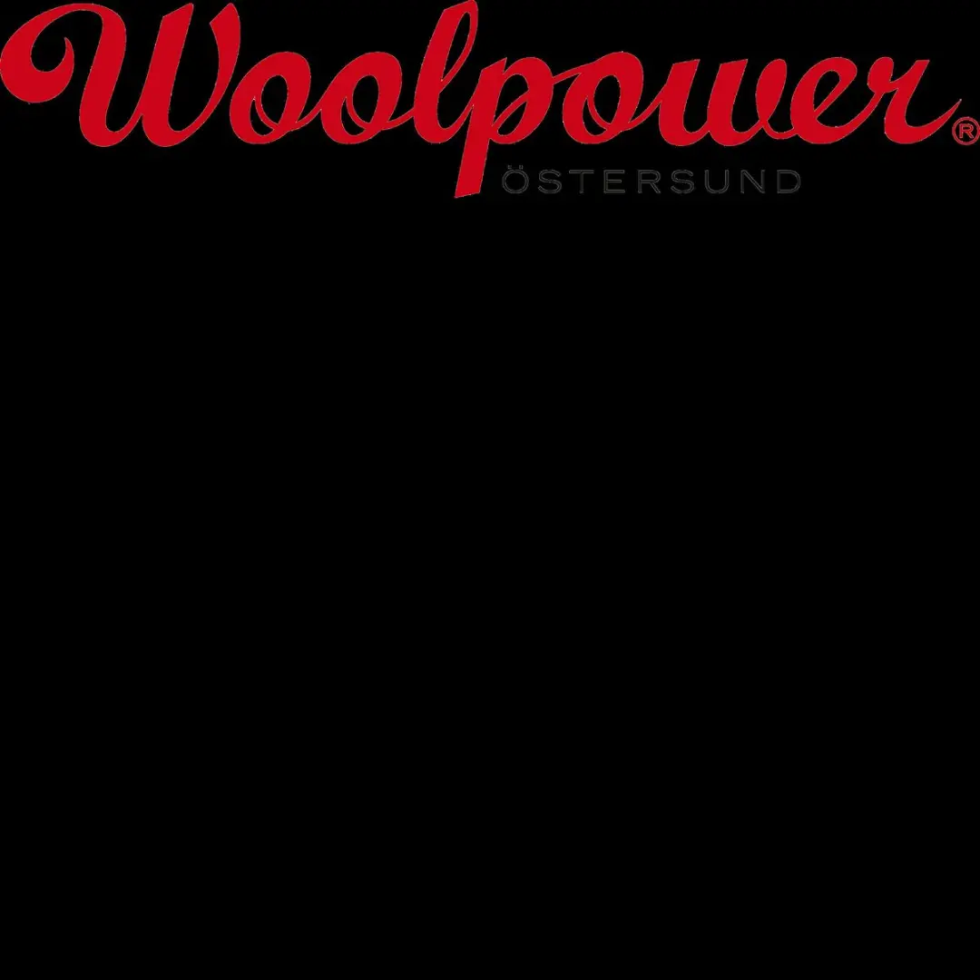 Woolpower Merino Mid Layer Zip Turtleneck 400 - Pine Green - afbeelding 3 van 4