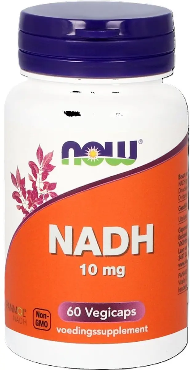 Now Foods NADH 10mg