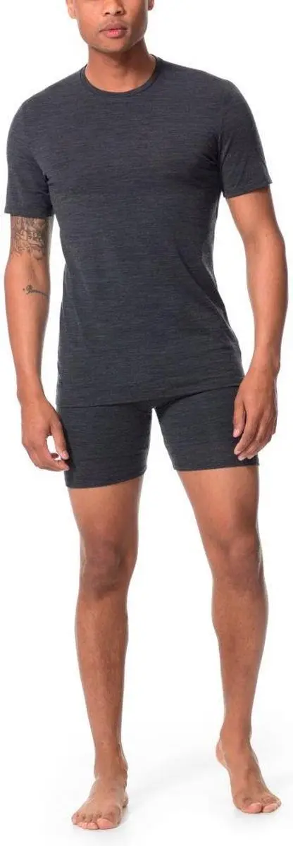 Icebreaker Anatomica Crew Top Heren