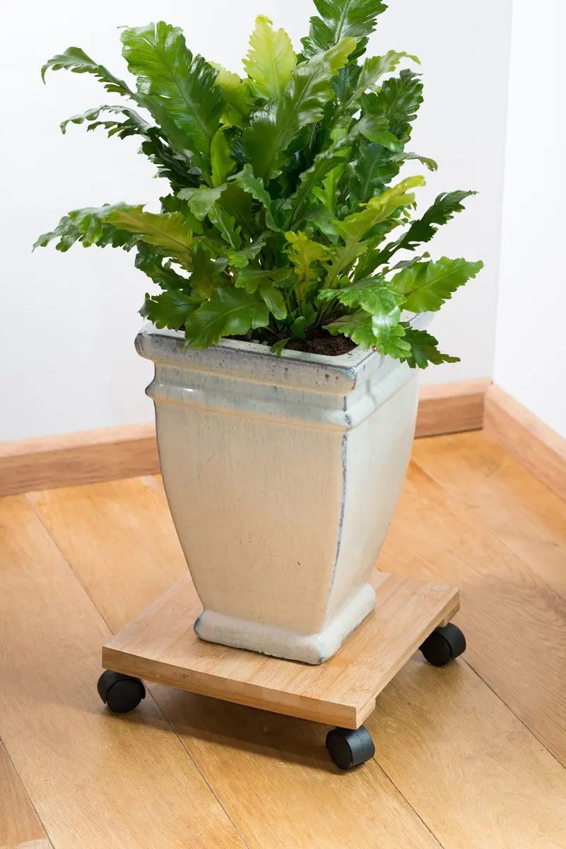 Nature Planttrolley Bamboe Composiet 30cm - afbeelding 4 van 5