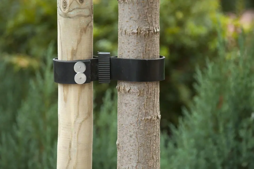Nature Spijkerboomband 0.2x3.8x90cm - Zwart - afbeelding 3 van 5