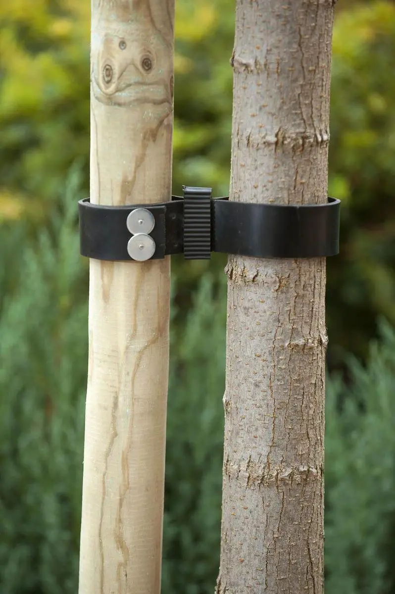 Nature Spijkerboomband 0.2x3.8x90cm - Zwart - afbeelding 4 van 5