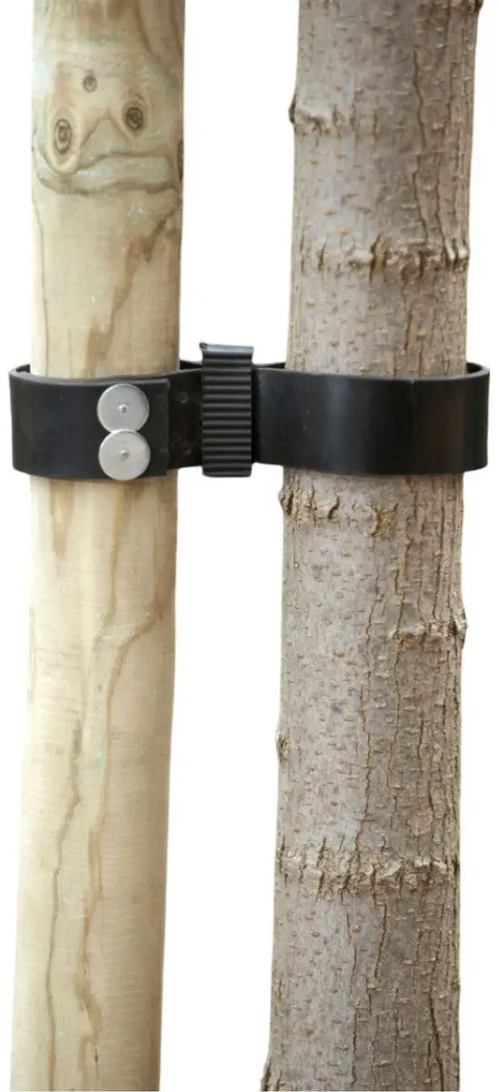 Nature Spijkerboomband 0.2x3.8x90cm - Zwart - afbeelding 5 van 5