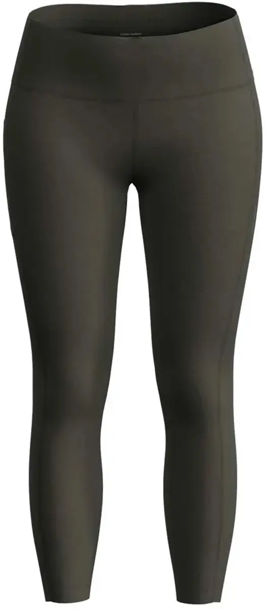 Icebreaker Merino 260 Fastray 25´´ Leggings Met Hoge Taille Groen XS Vrouw