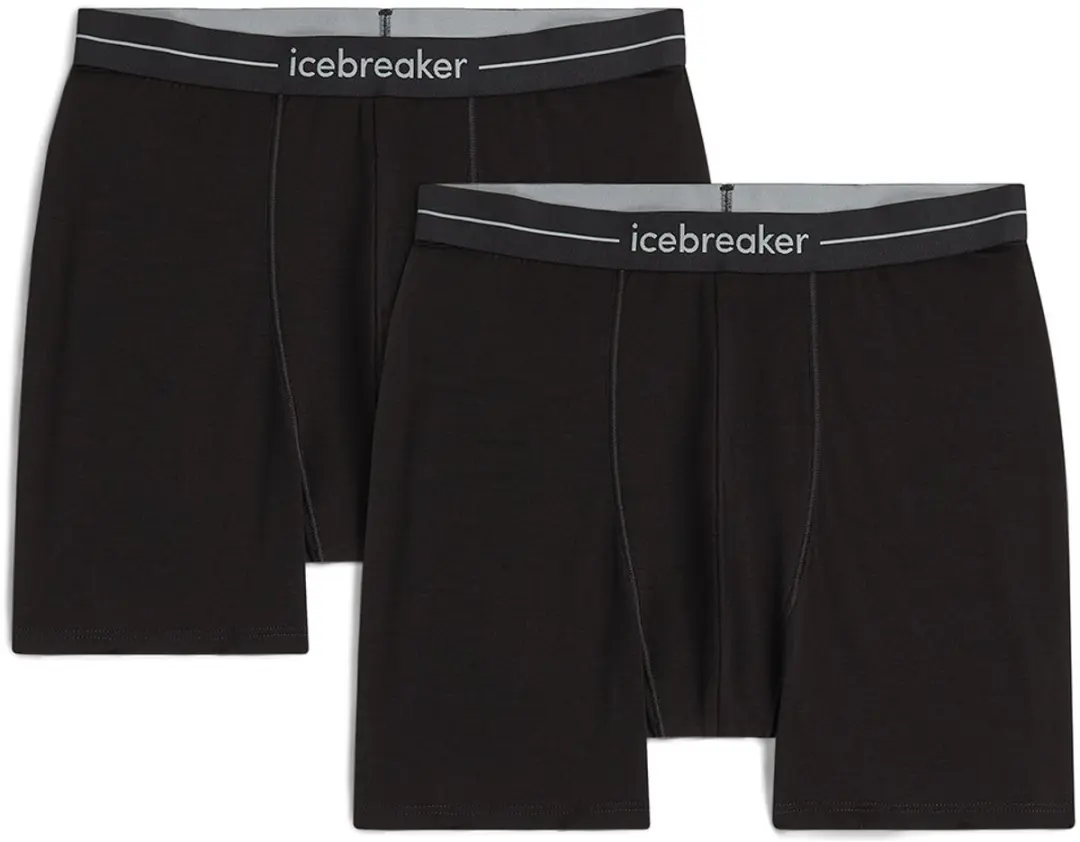 Icebreaker Merino 150 Anatomica Boxers 2 Eenheden Zwart M Man