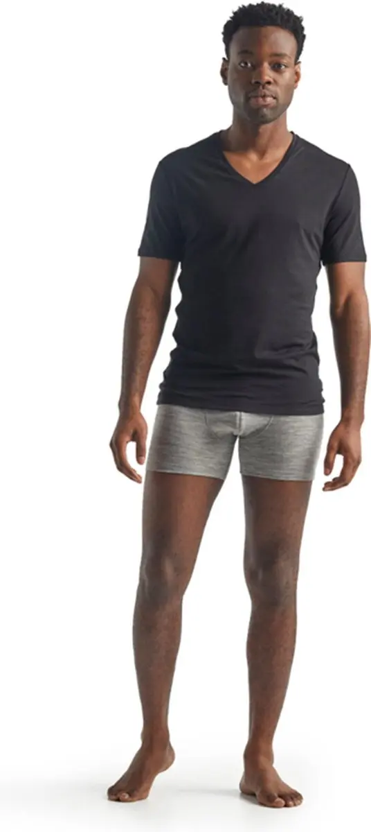 Icebreaker Anatomica V-hals T-shirt Heren - Maat L - Zwart
