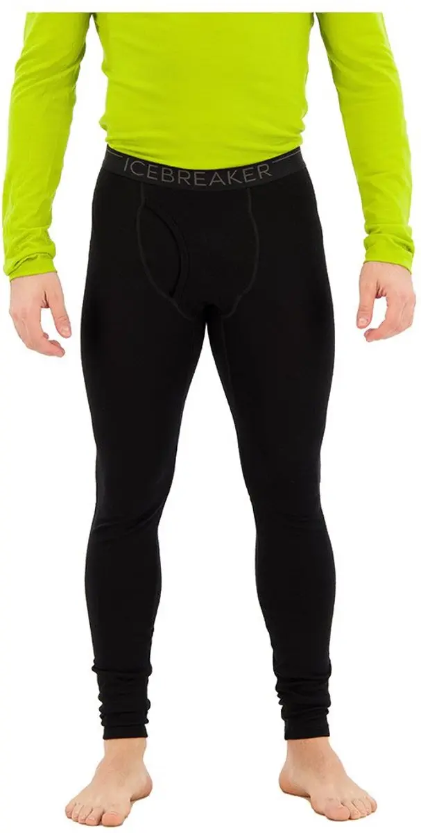 Icebreaker Tech Leggings 260
