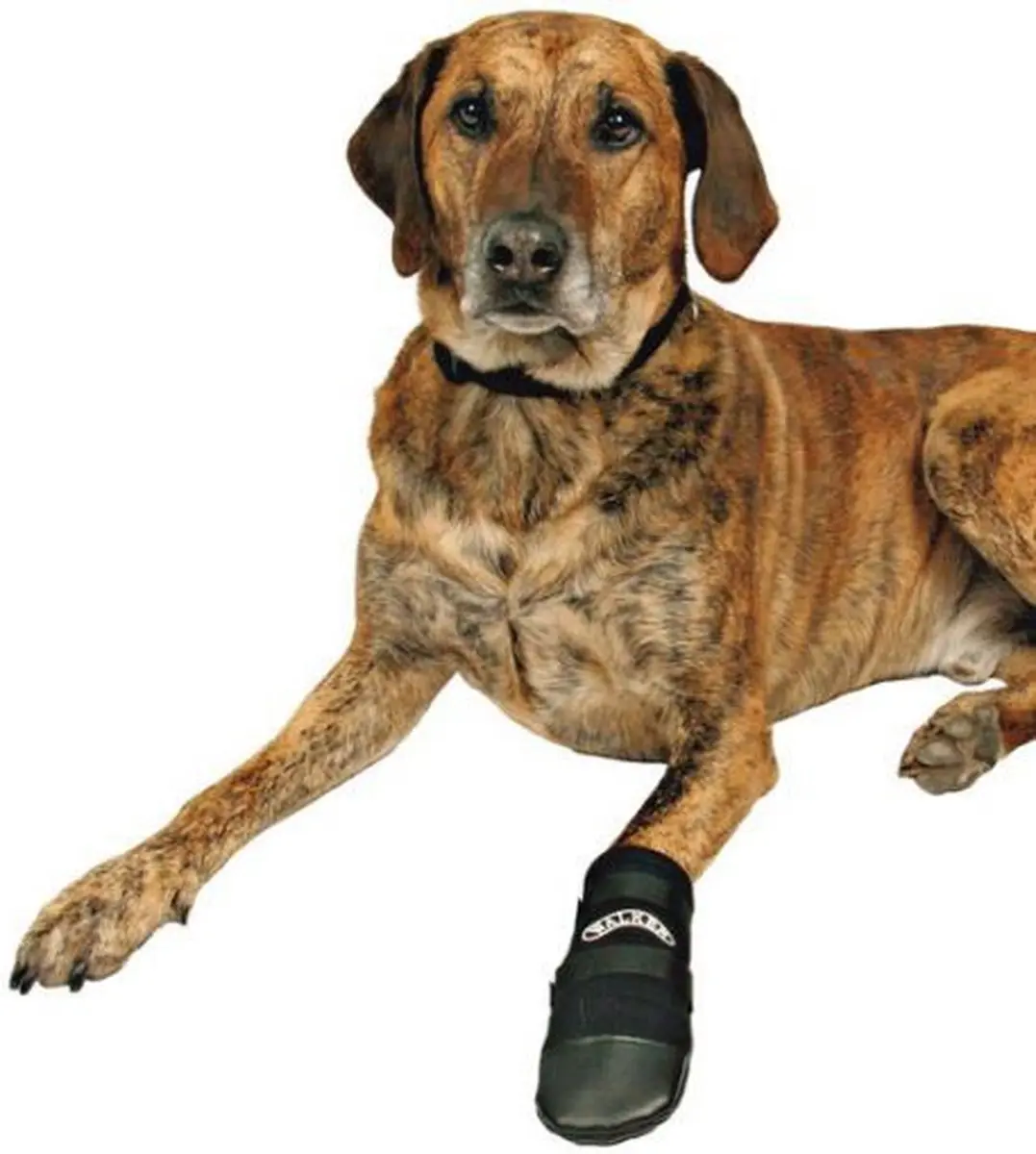 Trixie Walker Care Hondenschoenen L - Zwart - 2 Stuks - afbeelding 2 van 6