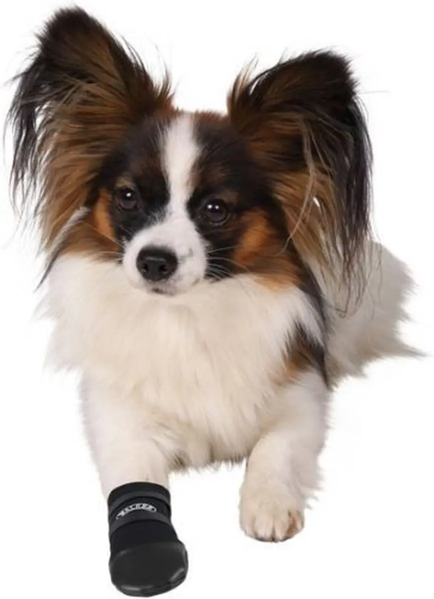 Trixie Walker Care Hondenschoenen L - Zwart - 2 Stuks - afbeelding 4 van 6