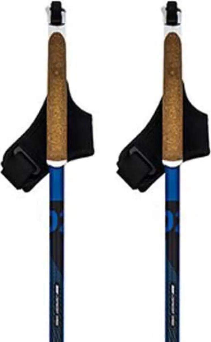 Swix Dynamic D2 Stokken Goud 155 cm