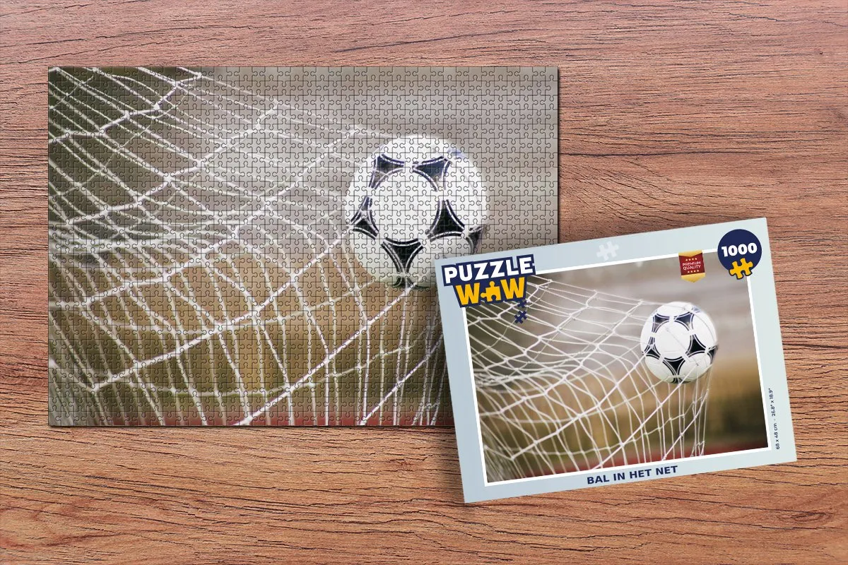 PuzzleWow Legpuzzel Bal in het Net 1000 Stuks - Multicolor