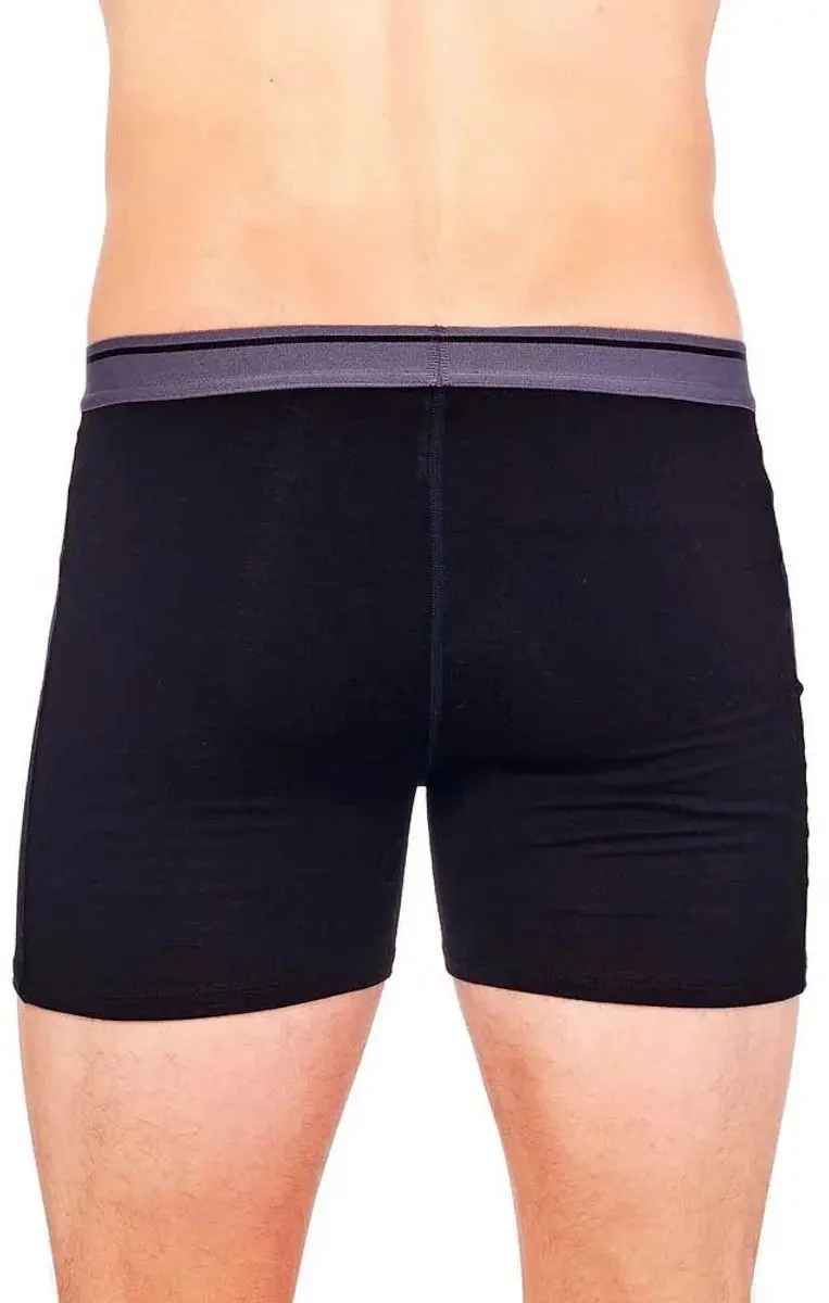 Icebreaker Anatomica Fly Boxers - L - Zwart