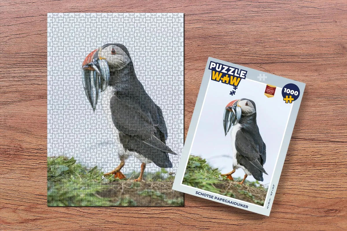 PuzzleWow Schotse papegaaiduiker Legpuzzel 1000 Stuks - Multicolor