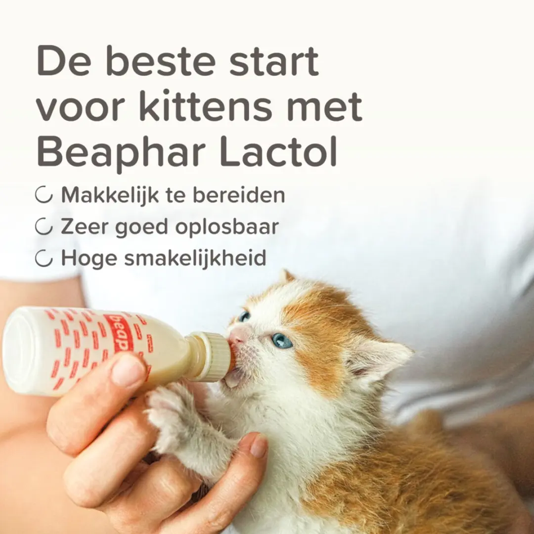 Beaphar Lactol Kitten Milk 250g - afbeelding 5 van 6