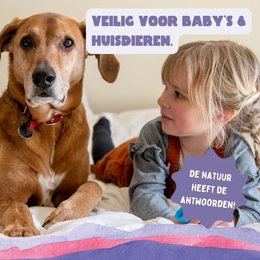 Yokuu Probiotische Wasstrips 64 Stuks - Lavendel - afbeelding 3 van 6