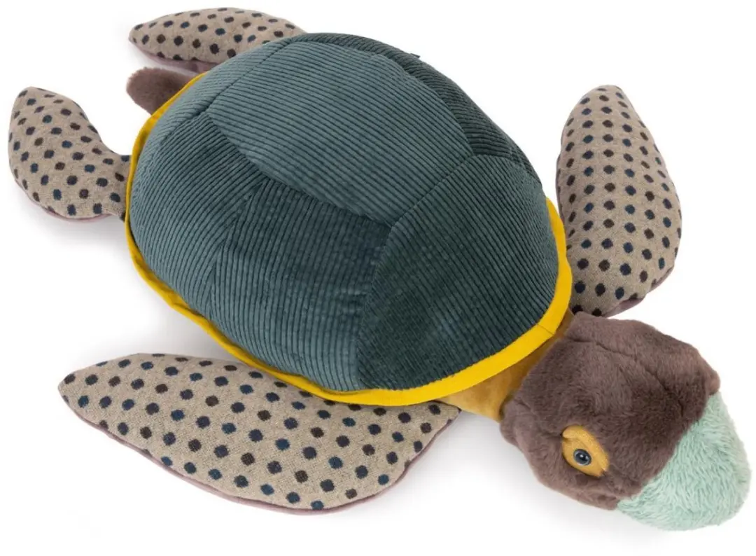 Grote Schildpad 'Autour du Monde'