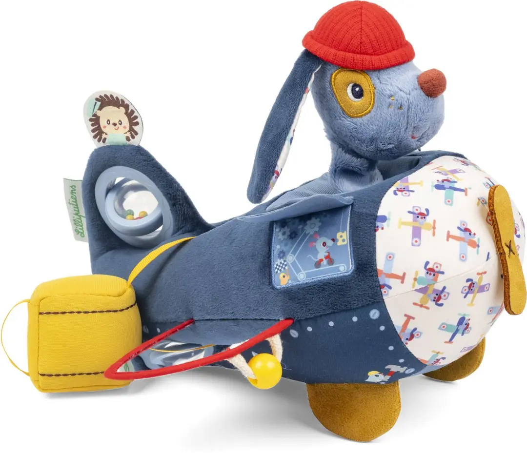 Lilliputiens Activiteitenvliegtuig Jules de Hond