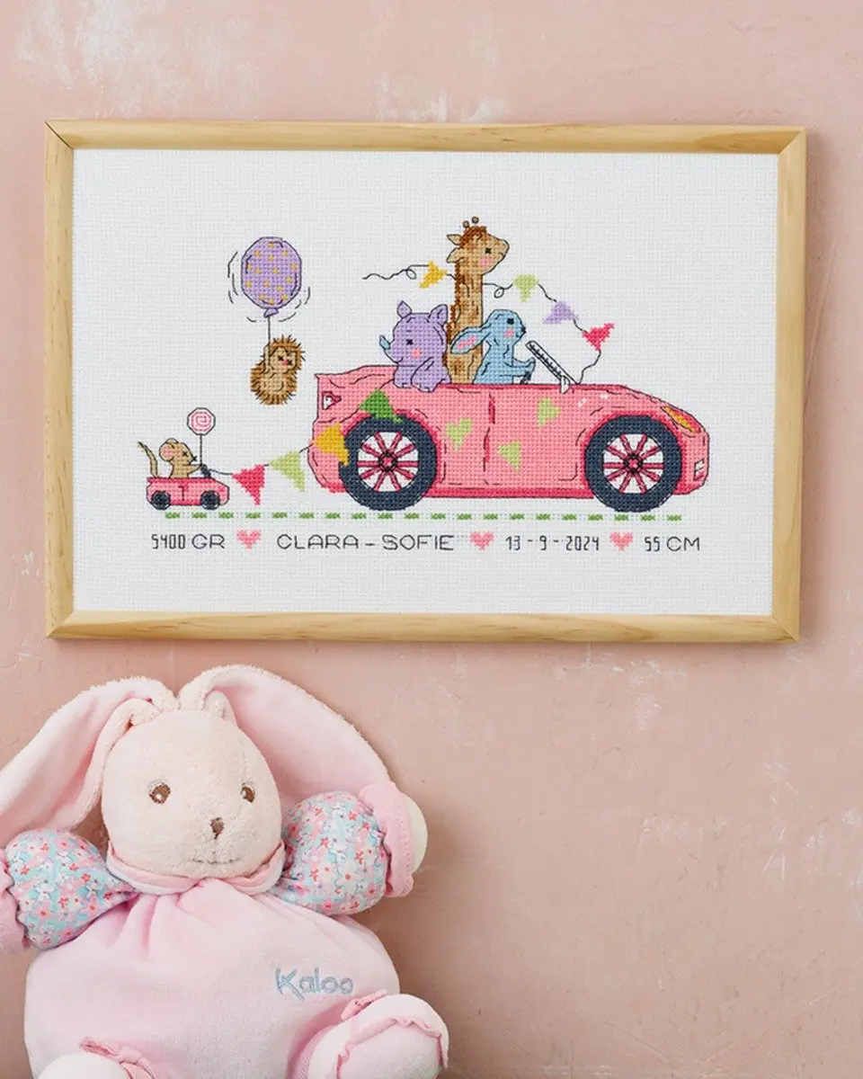 Borduurpakket Geboorte auto roze