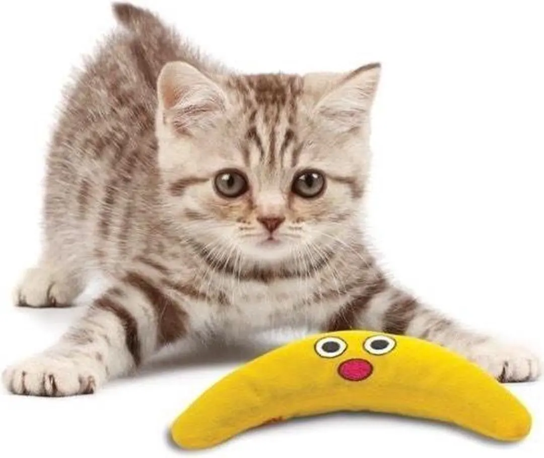Petstages Groen Magic Boomerang Buddy - Multi