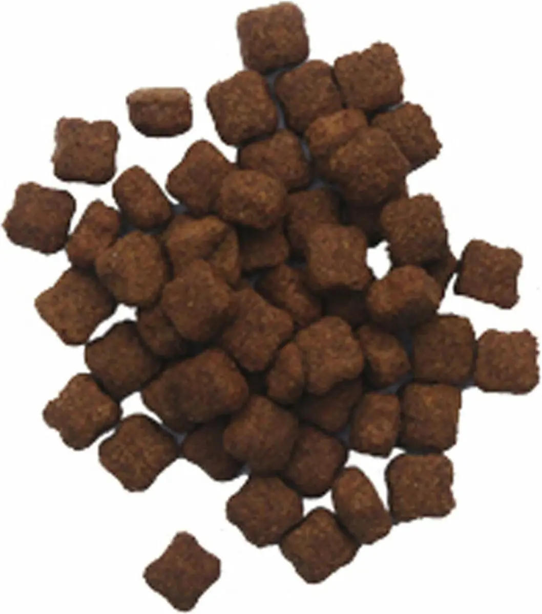 BF Petfood Biofood Giant 12.5 KG