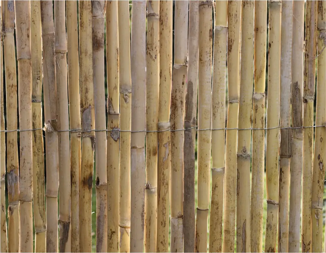 Nature Rietmat 56513