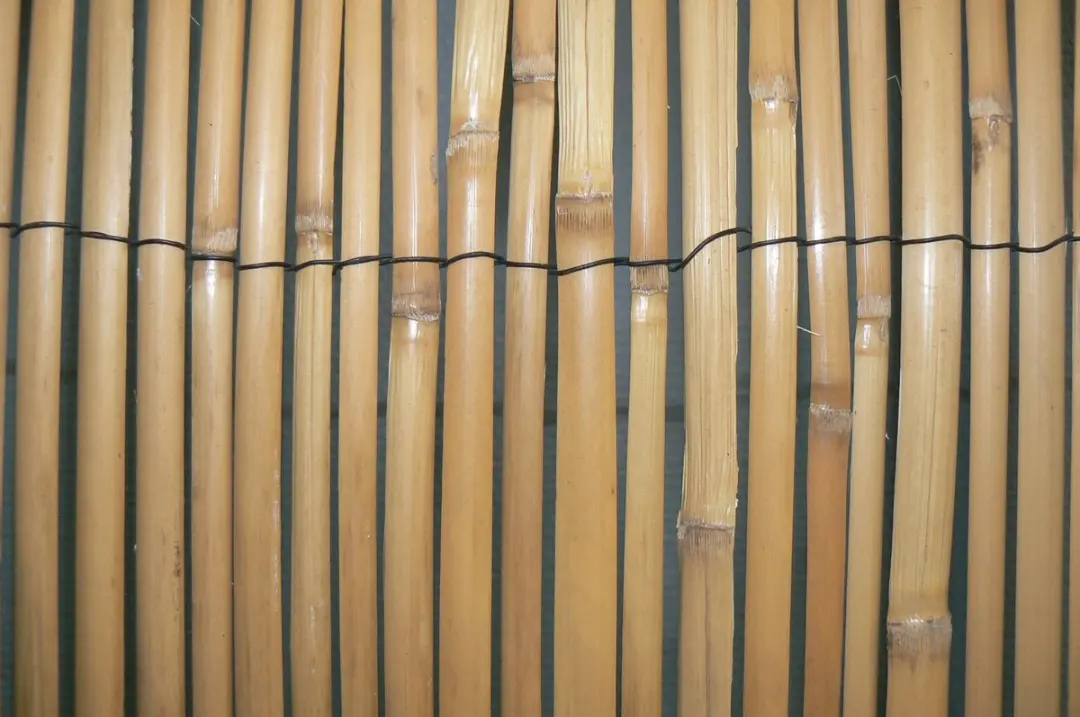 Nature Canisse Rietmat 3x1m - Licht beige - afbeelding 2 van 4