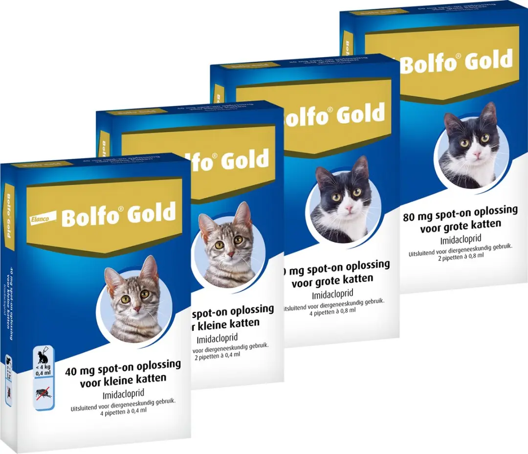 Bolfo Gold 80 Anti-vlooienmiddel Kat >4kg - 4 Pipetten - afbeelding 5 van 6