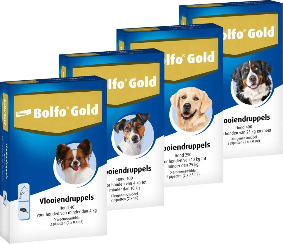 Bolfo Gold 400 Anti-vlooienmiddel Hond >25kg - 4 Pipetten - afbeelding 4 van 6