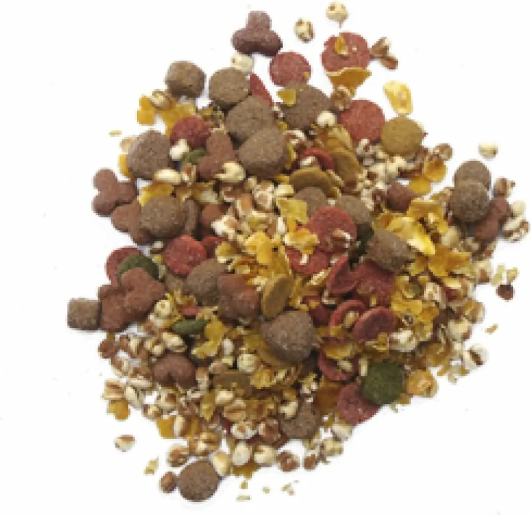 BF Petfood Biofood Diner 10 KG