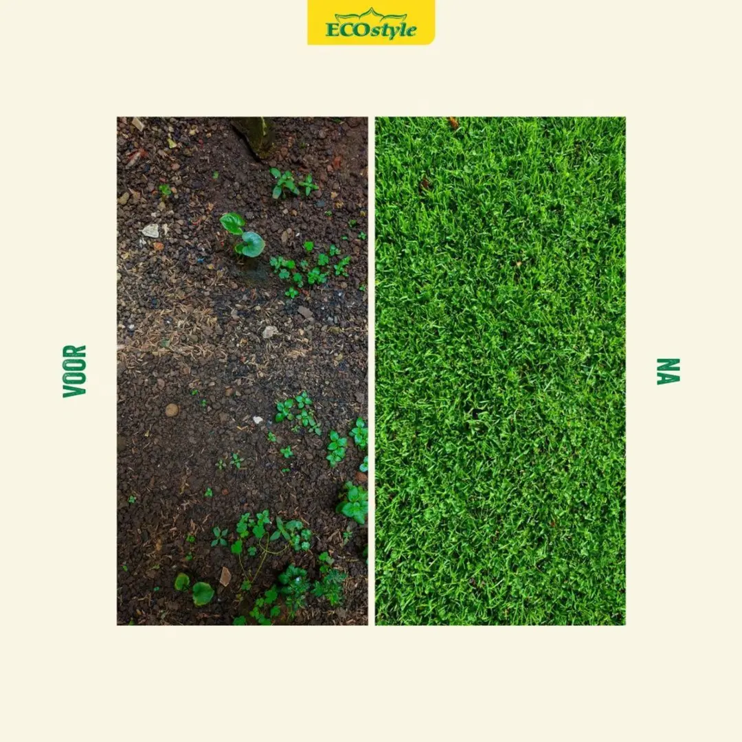 ECOstyle AZstyle Graszaad Inzaai 1KG - 50m² - afbeelding 3 van 6