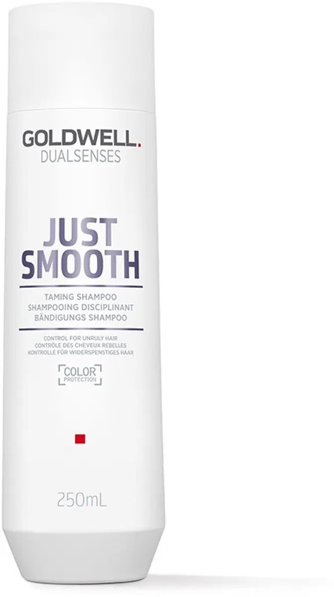 Goldwell Dualsenses Just Smooth Shampoo 250ml