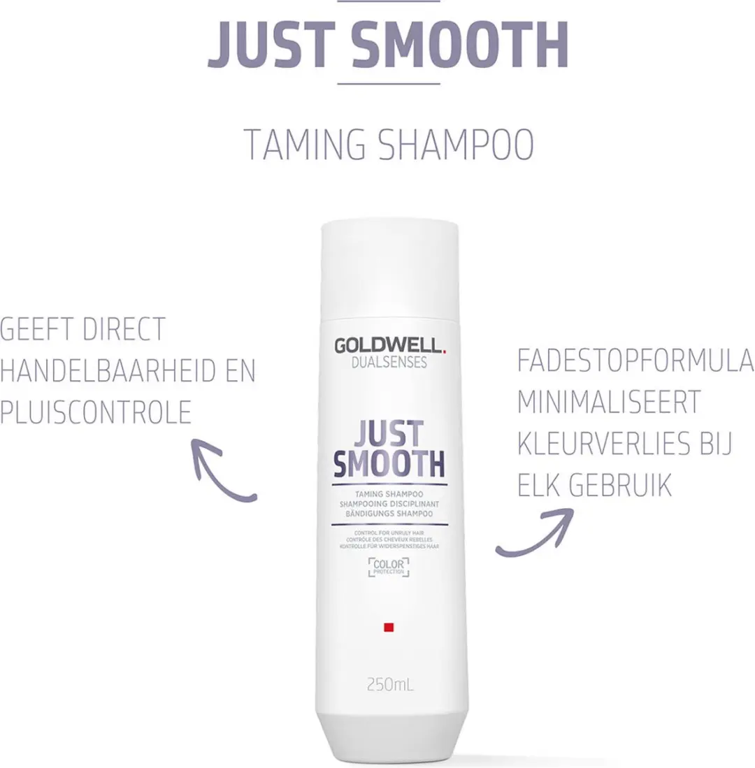 Goldwell Dualsenses Just Smooth Shampoo 250ml