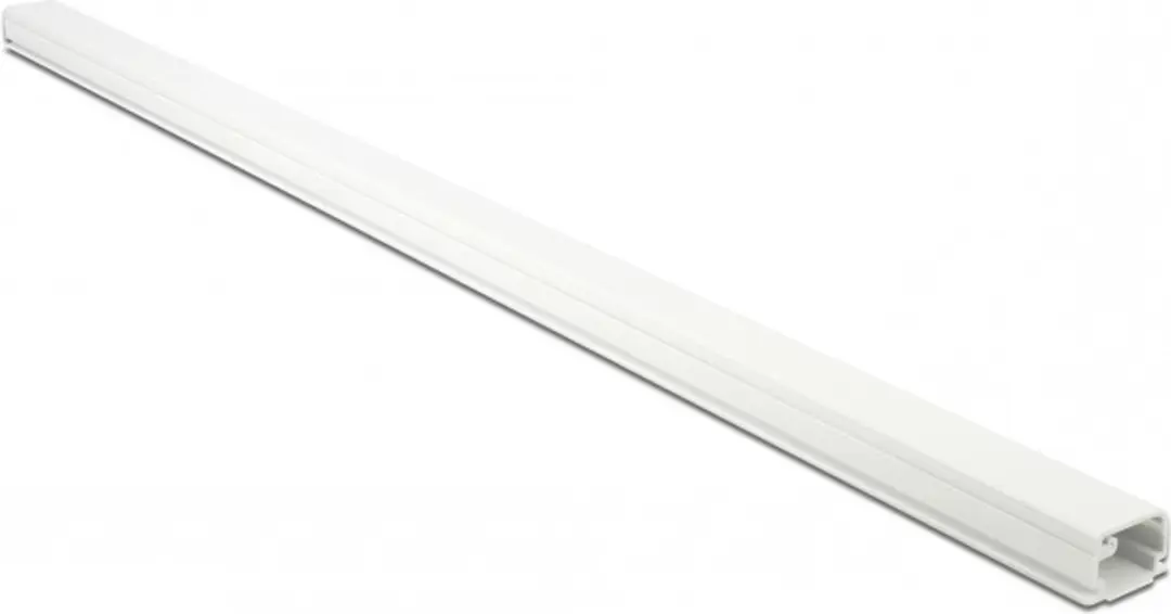 Delock Kunststof Kabelgoot 100x2,2cm