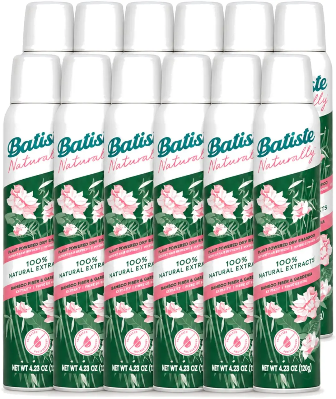 12 x Batiste